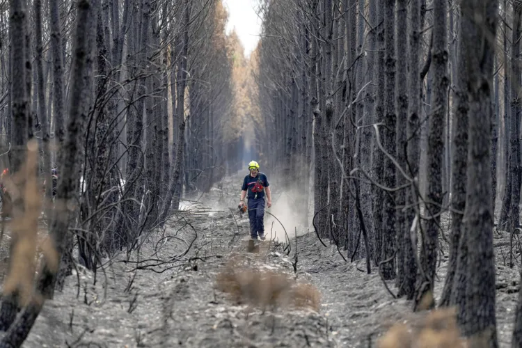 Firefighting helicopters collide near Athens; 2 dead